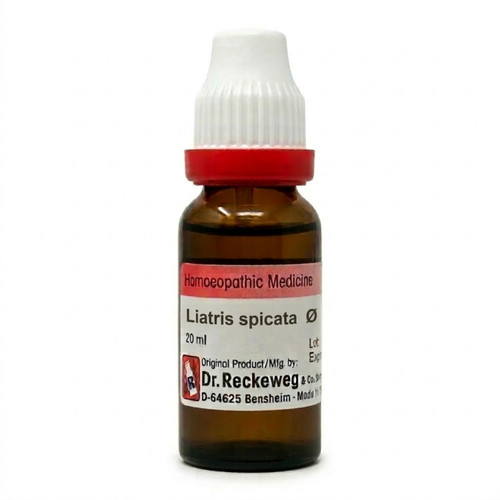 Reckeweg liatris spicata q - reckeweg,